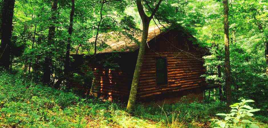 Cabins in Eureka Springs - Secluded Nature's Heart Log Cabin