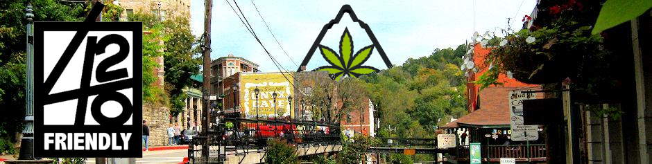 Medical Marijuana Medical Cannabis logo for Bud and Breakfasts or 420 Friendly Log