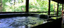 Eureka Springs Arkansas Hot Tub Log Cabin